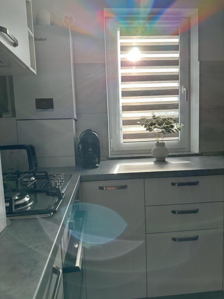 Cozy Studios In Suczawa Zewnętrze zdjęcie
