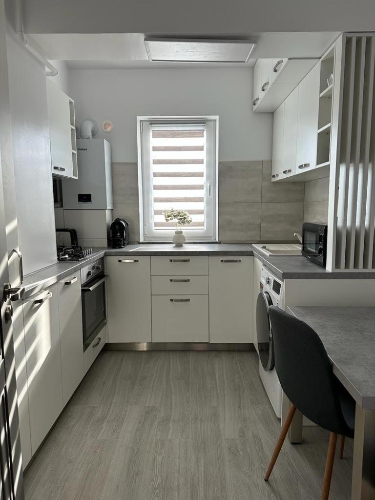 Cozy Studios In Suczawa Zewnętrze zdjęcie